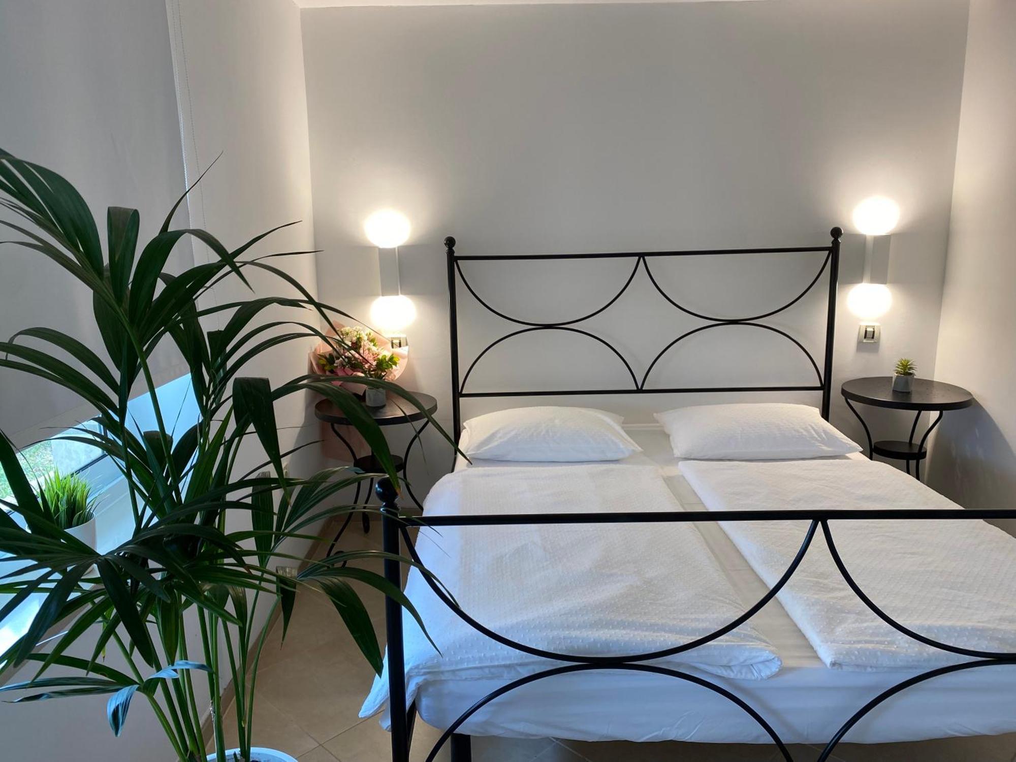 Apartments Roberta Novigrad Istria エクステリア 写真