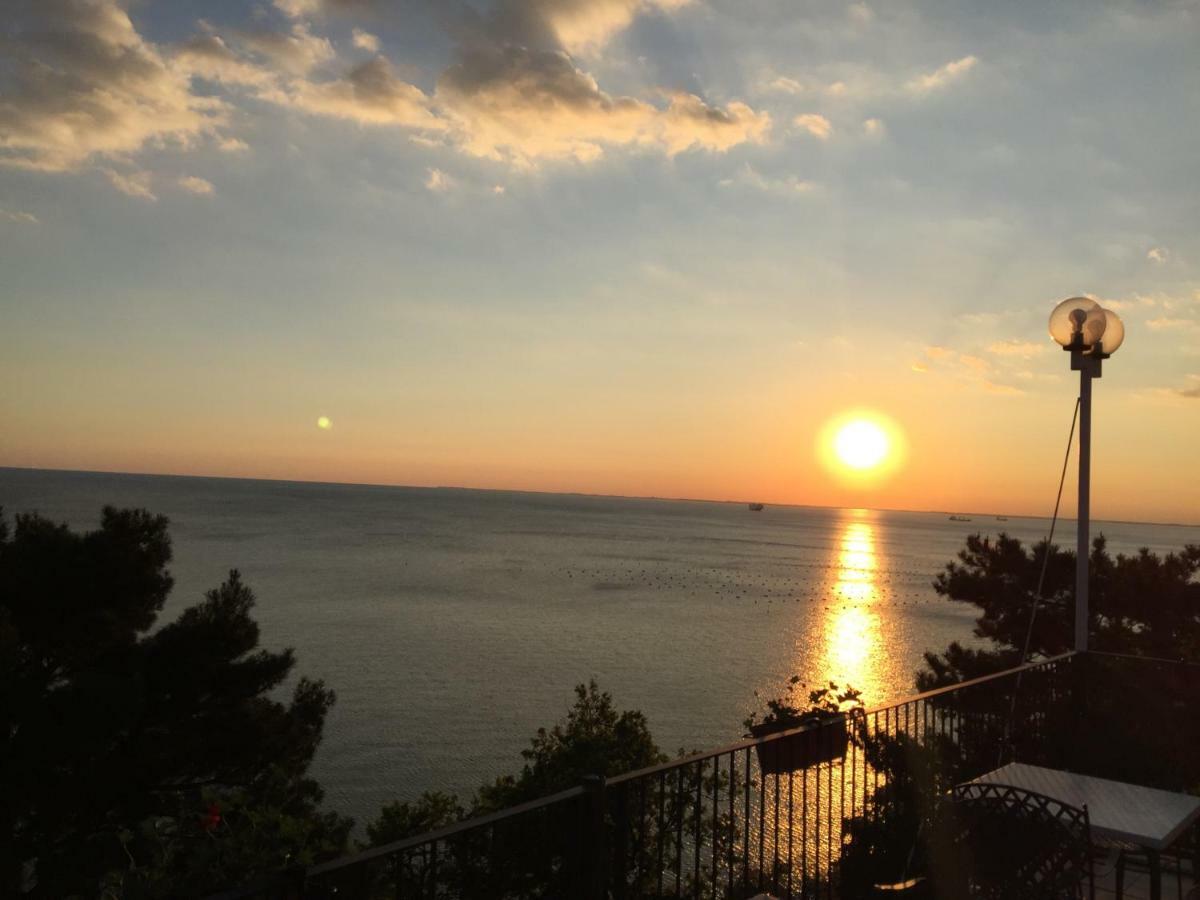 Apartments Roberta Novigrad Istria エクステリア 写真